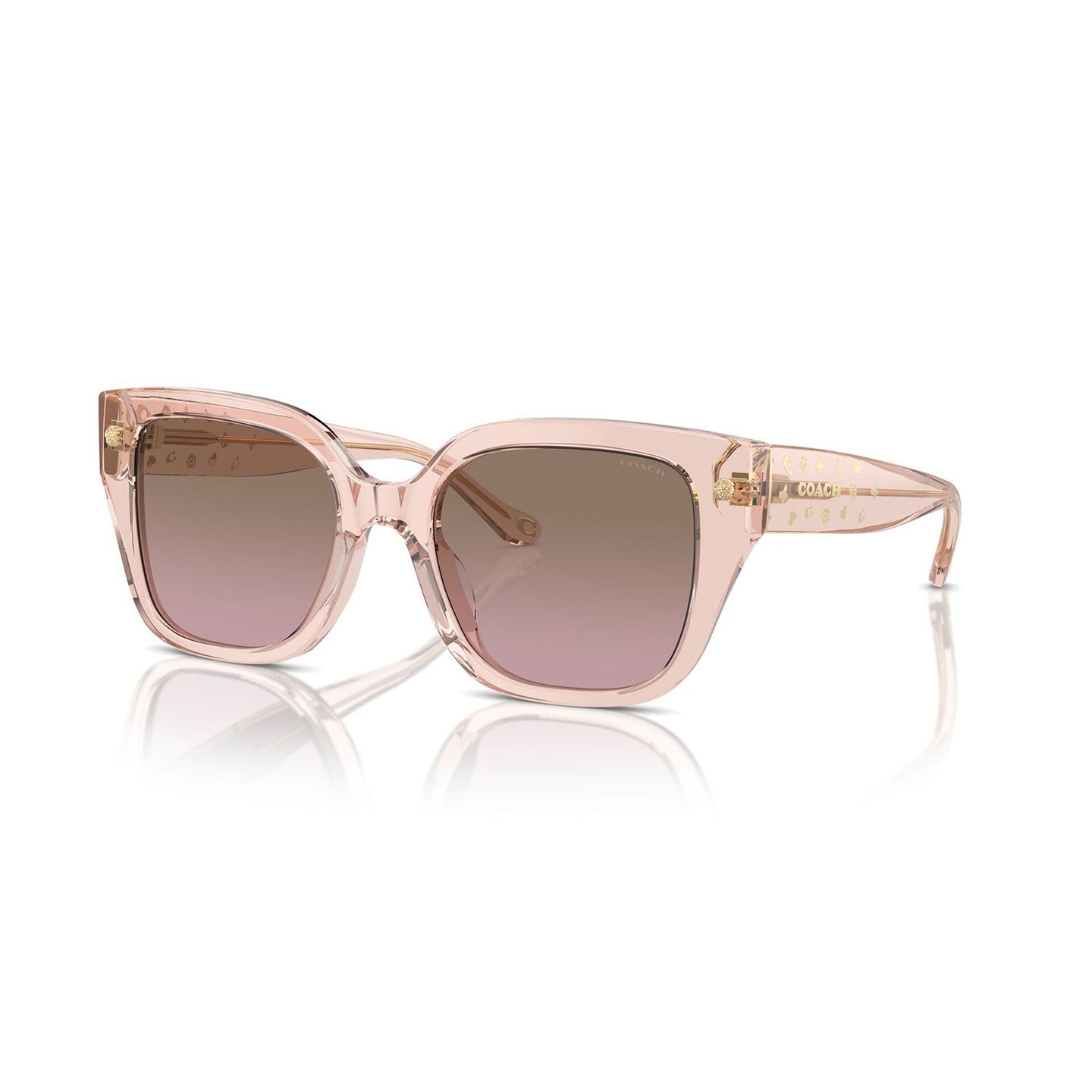 SUNGLASSES COACH MODEL 8392U COLOR 566814