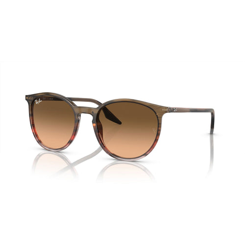 SUNGLASSES RAY-BAN MODEL 2204 COLOR 13953B